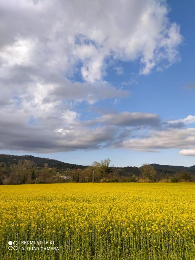 B&B La Casa Di Giuliana Cermignano Luaran gambar