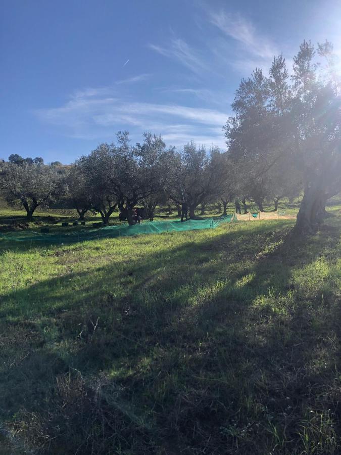 B&B La Casa Di Giuliana Cermignano Luaran gambar