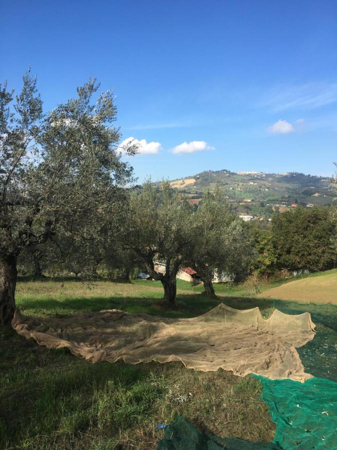 B&B La Casa Di Giuliana Cermignano Luaran gambar