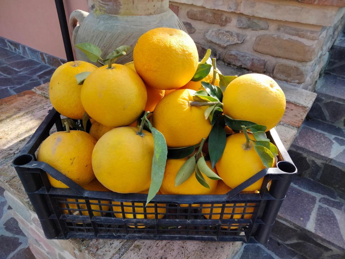 B&B La Casa Di Giuliana Cermignano Luaran gambar