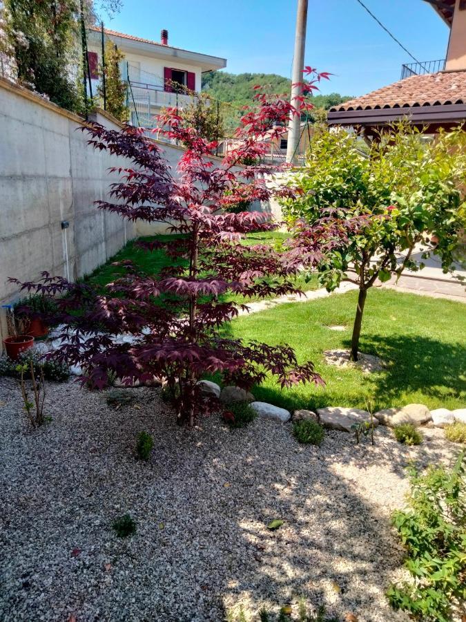 B&B La Casa Di Giuliana Cermignano Luaran gambar