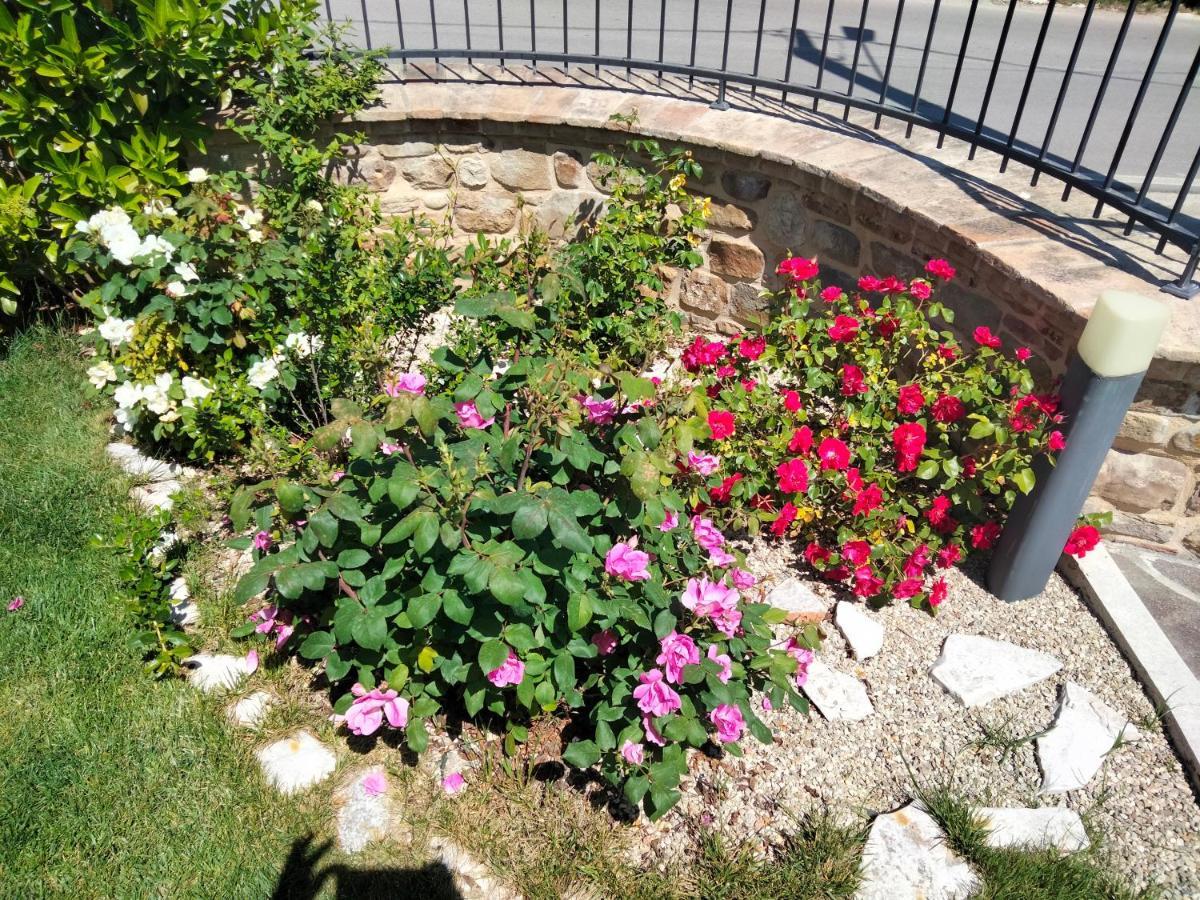 B&B La Casa Di Giuliana Cermignano Luaran gambar